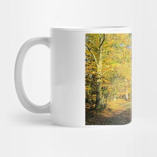 Vibrant Autumn Walk Mug